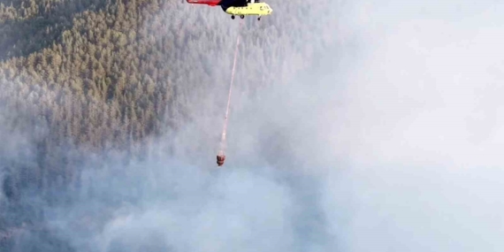 Kastamonu'daki orman yangını kontrol altına alındı