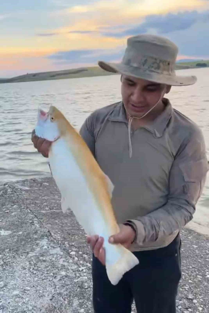 Keban Baraj Gölü'nde nadir sarı albino alabalık yakalandı