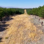 Kırıkkale'de orman yangınlarına karşı jandarma devriyesi artırıldı
