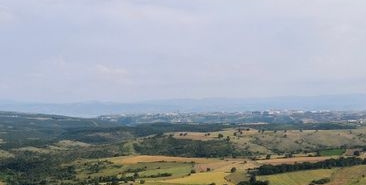 Kocaeli Valiliği'nden Gebze'deki Orman Yangını Açıklaması