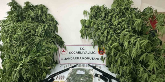 Kocaeli'de bir haftada 151 uyuşturucu operasyonu yapıldı