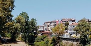 Kocaeli'de otomobil dereye uçtu, sürücü hayatını kaybetti