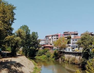 Kocaeli'de otomobil dereye uçtu, sürücü hayatını kaybetti