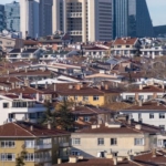 Kocaeli'deki çekirge yoğunluğu ekonomik zarar eşiğinin altında