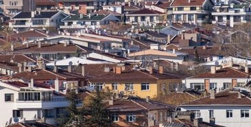 Kocaeli'deki çekirge yoğunluğu ekonomik zarar eşiğinin altında