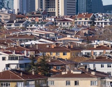 Kocaeli'deki çekirge yoğunluğu ekonomik zarar eşiğinin altında