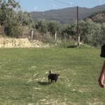 Kuşadası'nda kurtarma köpekleriyle hayat kurtaran Tevfik Gül