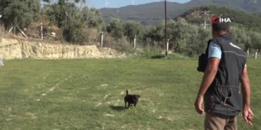 Kuşadası'nda kurtarma köpekleriyle hayat kurtaran Tevfik Gül