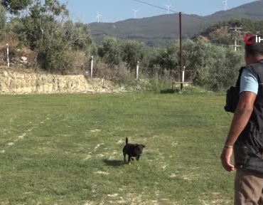 Kuşadası'nda kurtarma köpekleriyle hayat kurtaran Tevfik Gül
