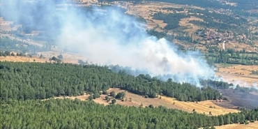 Kütahya Emet'te Orman Yangını Kontrol Altına Alındı