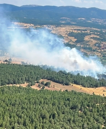 Kütahya Emet'te Orman Yangını Kontrol Altına Alındı