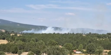 Kütahya Emet'te orman yangını kontrol altına alındı