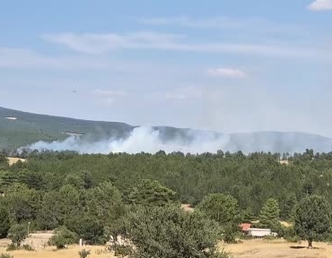 Kütahya Emet'te orman yangını kontrol altına alındı