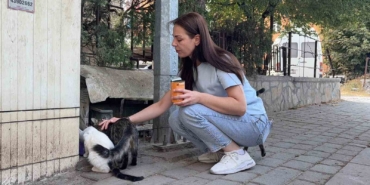 Kütahya'da kedinin başı ve ayakları kesilerek bırakıldı