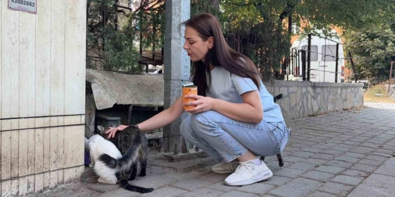 Kütahya'da kedinin başı ve ayakları kesilerek bırakıldı