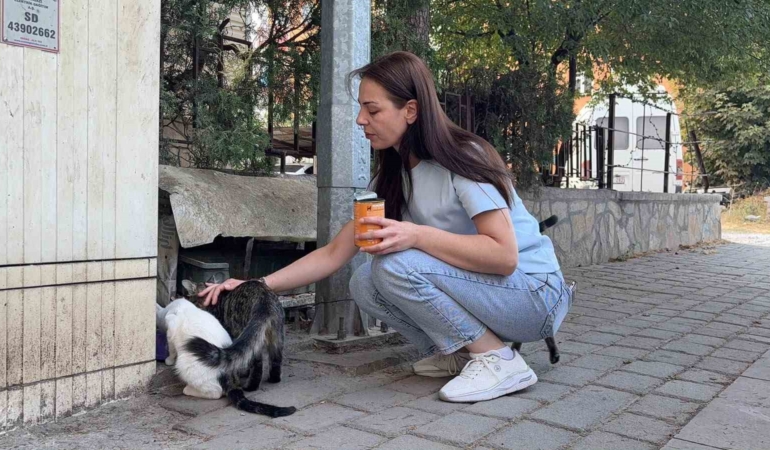 Kütahya'da kedinin başı ve ayakları kesilerek bırakıldı