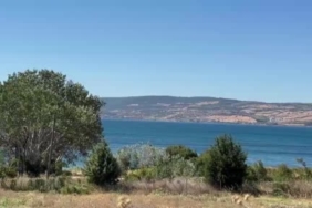 Lapseki'deki tarım arazisindeki yangına müdahale sürüyor