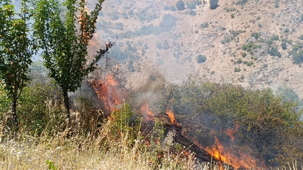 Malatya'da meyve bahçeleri ve üzüm bağlarında yangın