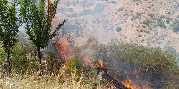 Malatya'da meyve bahçeleri ve üzüm bağlarında yangın