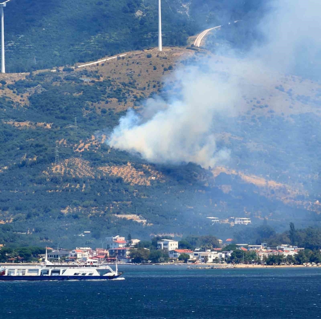 Marmara Adası'nda orman yangınına müdahale sürüyor