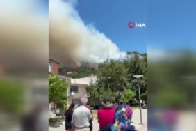 Marmara Adası'ndaki orman yangınına müdahale sürüyor