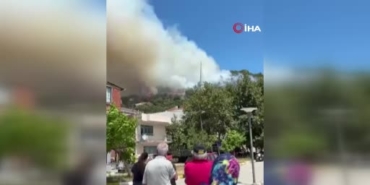 Marmara Adası'ndaki orman yangınına müdahale sürüyor