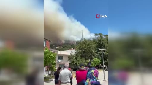 Marmara Adası'ndaki orman yangınına müdahale sürüyor