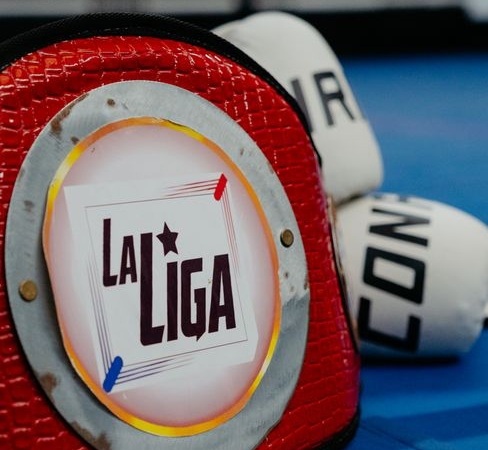 Merkezefendi Boks Takımı, Türkiye Şampiyonası'nda Ringde