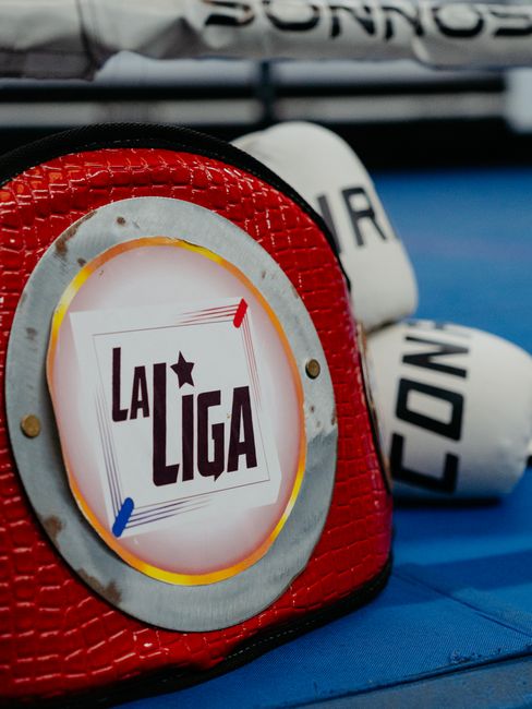 Merkezefendi Boks Takımı, Türkiye Şampiyonası'nda Ringde