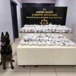 Mersin'de 14 Ağustos'ta uyuşturucu operasyonu: 3.5 kg kokain ele geçirildi