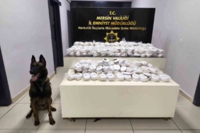 Mersin'de 14 Ağustos'ta uyuşturucu operasyonu: 3.5 kg kokain ele geçirildi