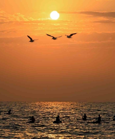Mersin'de Ücretsiz Su Sporları Eğitimleri Artıyor