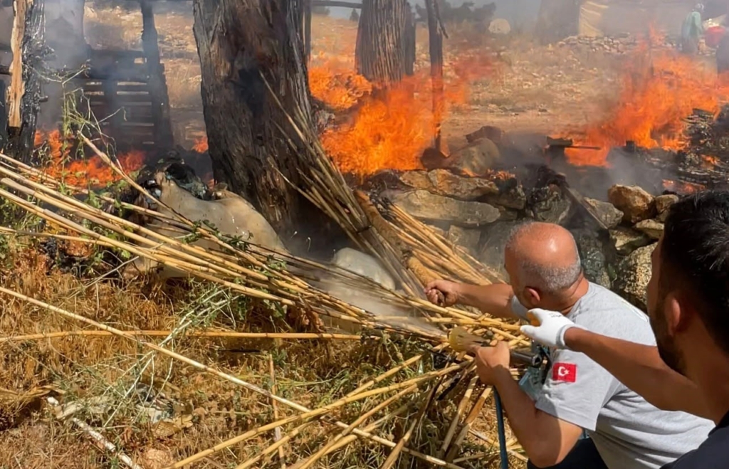 Mersin'de yangına müdahale eden belediye çalışanları ödüllendirildi