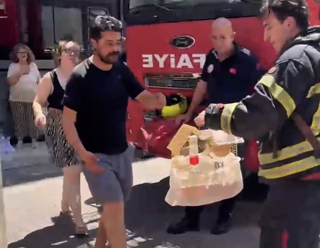 Mersin'de yangında mahsur kalan cennet papağanı kurtarıldı