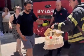 Mersin'de yangında mahsur kalan cennet papağanı kurtarıldı