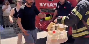 Mersin'de yangında mahsur kalan cennet papağanı kurtarıldı