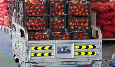 Migros, Bursa Yenişehir'de Taze Gıda Tedarik Merkezi Açtı