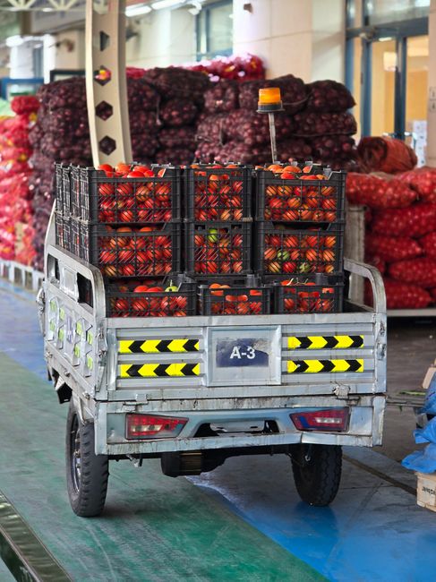Migros, Bursa Yenişehir'de Taze Gıda Tedarik Merkezi Açtı