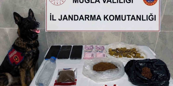 Muğla'da Temmuz ayında 24 kaçakçılık operasyonu düzenlendi