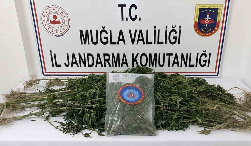 Muğla'da uyuşturucu operasyonu: 33 kişi tutuklandı
