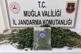 Muğla'da uyuşturucu operasyonu: 33 kişi tutuklandı