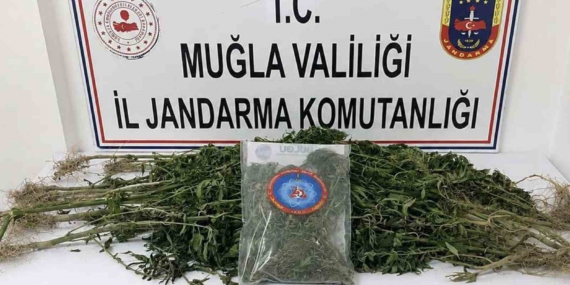 Muğla'da uyuşturucu operasyonu: 33 kişi tutuklandı