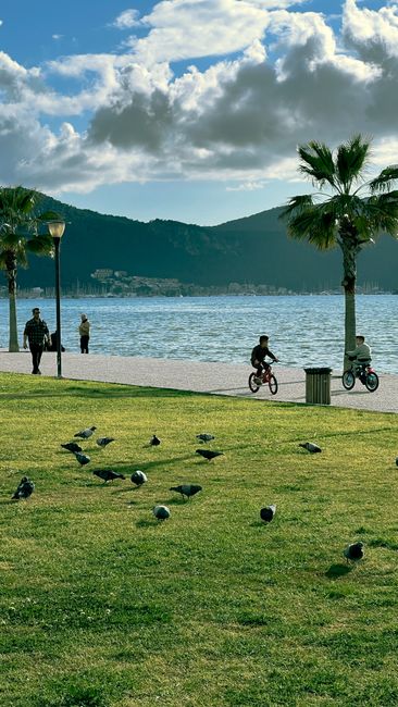 Muğla'da yeni projeler halka tanıtılıyor