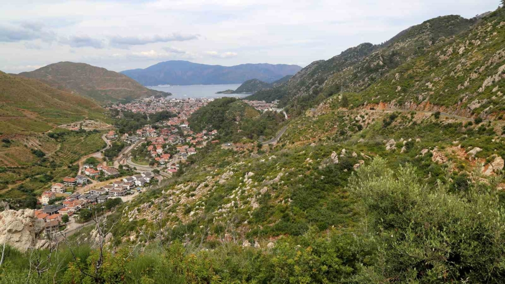 Muğla'daki Orman Yangınlarının Ardından Yeşil Alanlar Yeniden Canlandı