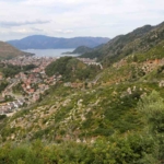 Muğla'daki Orman Yangınlarının Ardından Yeşil Alanlar Yeniden Canlandı
