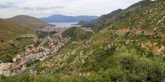 Muğla'daki Orman Yangınlarının Ardından Yeşil Alanlar Yeniden Canlandı
