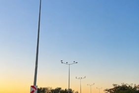 Muratlı'da Leylekler Aydınlatma Direklerini Tercih Etti