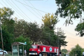 Muratlı'da ağaçlık alanda çıkan yangın kontrol altına alındı