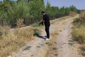 Muş'ta Kaplumbağayı Kurtaran Esnafın Duyarlı Davranışı