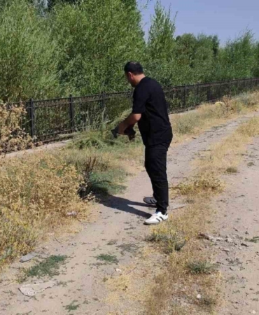 Muş'ta Kaplumbağayı Kurtaran Esnafın Duyarlı Davranışı